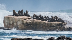 Robben Island