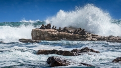 Robben Island