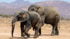 immer wieder Eindrucksvoll