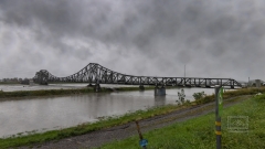 Hochwasser am Rhein