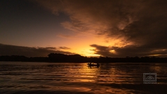Tortuguero