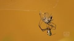 nein Langeweile kahm nie auf im Land mit 28% Naturschutzfläche