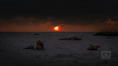 die Zeit, den Sonnenaufgang zu geniessen war für mich unglaublich lange.