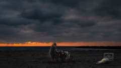 der zweite Morgen - ein super Kontrast zum Ersten!