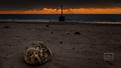 ganz ehrlich nervös wurde ich schon