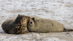 die Rast tat mir und der Kamera gut