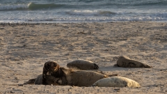 so schnell wie der Schnee am Morgen uns überraschte war er auch wieder weg