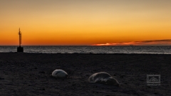 nach drei Tagen Düne kann man sich am vierten auf wenige Höhepunkte konzentrieren