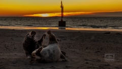 mehr Bilder oder Experimente