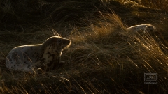 vielleicht fünf Minuten zu spät am Weg