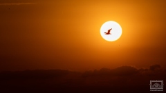 Sonnenuntergang