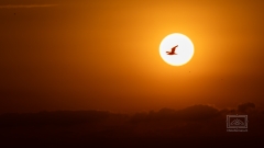 Sonnenuntergang