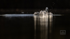 Das Licht macht das Bild