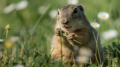 von uns Menschen aus gesehen