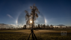 Halo bei Sonnenaufgang