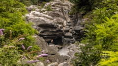 Maggia