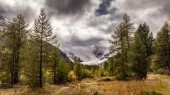 Val Morteratsch