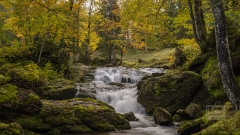 Herbst im St. Gallerland