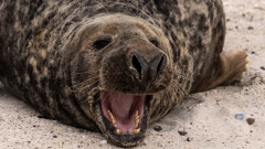 mehr Bilder gibts unter der Rubrik Reisen