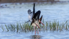 ja wohin mit den Beinen
