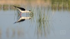 solche Bilder hätte ich noch dutzende