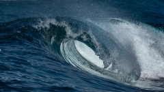 das Auge einer Welle