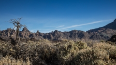 ja zum Teide