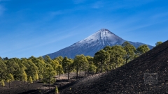 ein seltener Anblick