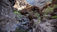 das Habitat