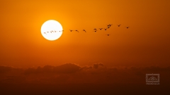 ab an den Schlafplatz