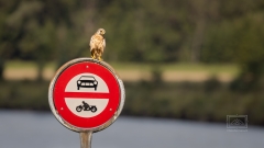 Fahren verboten